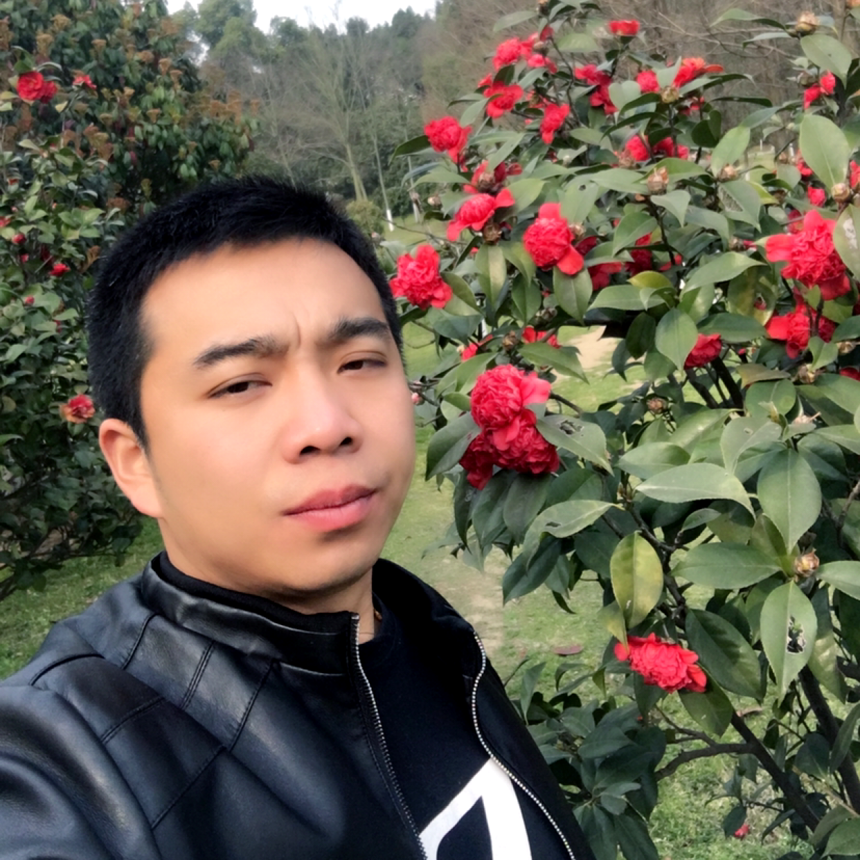 野狼笑调皮的照片