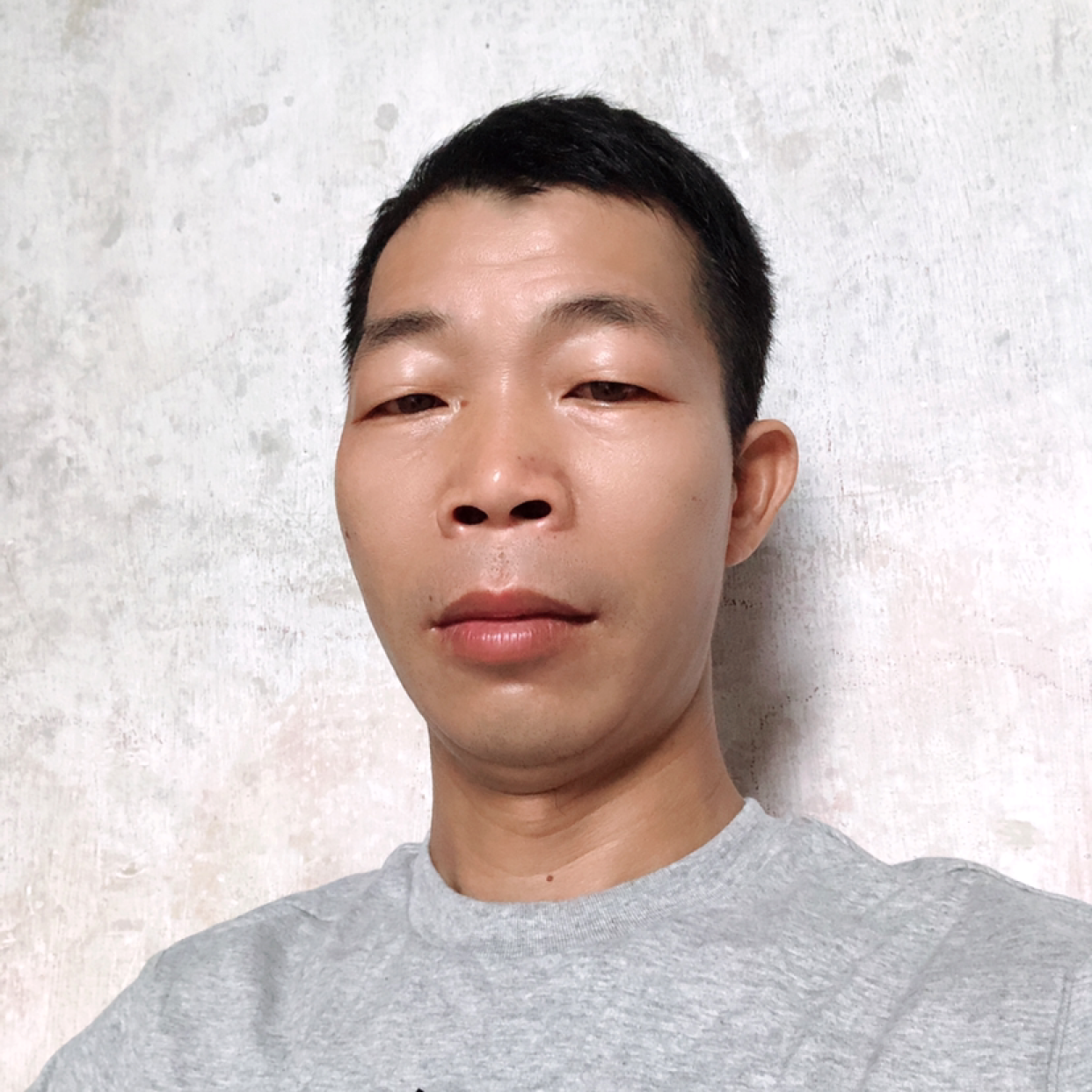 力创辉煌的照片
