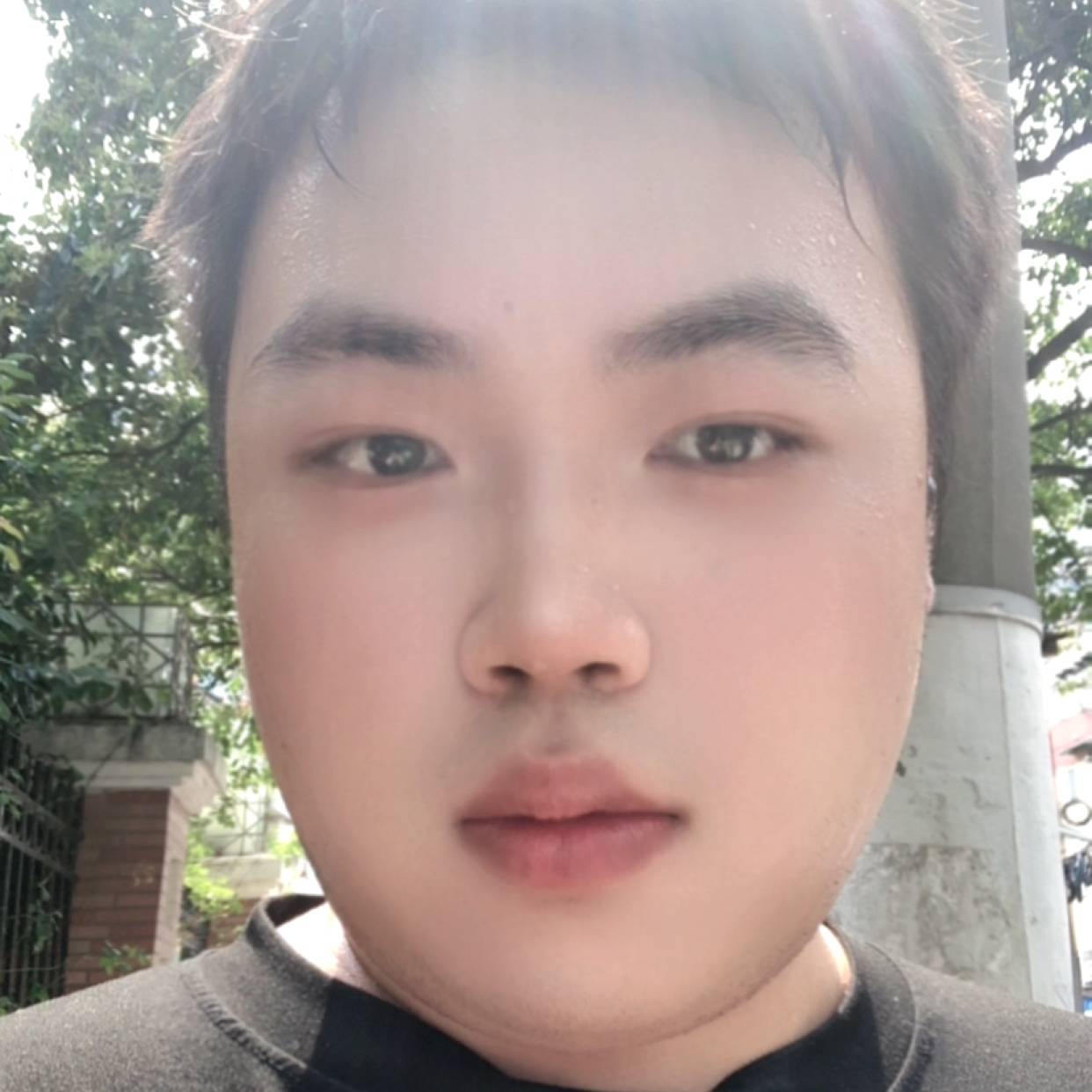 橘子橘子的照片
