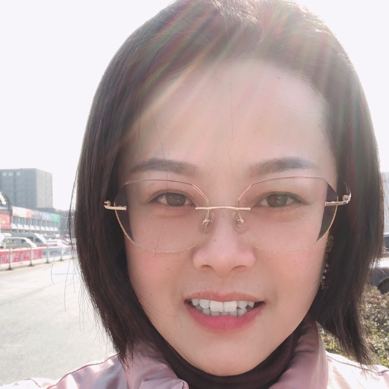 乖乖向日葵的照片