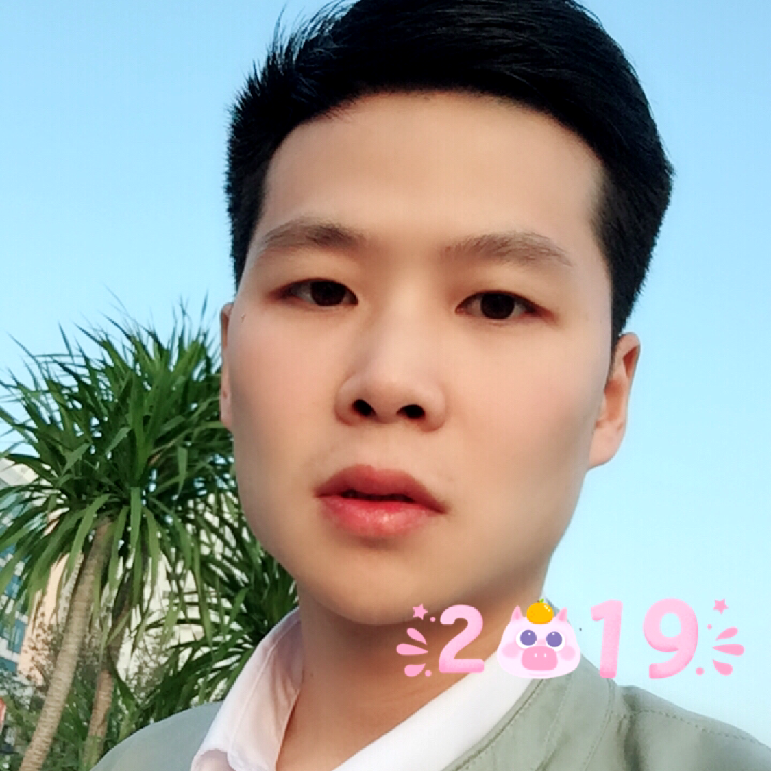 蓝莓蹁跹敏感的照片