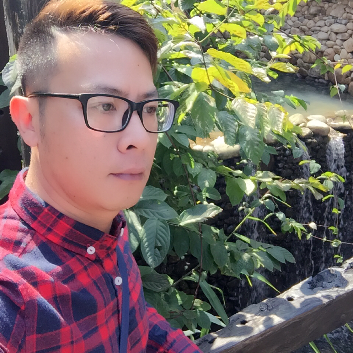 痴情停止乌龟的照片