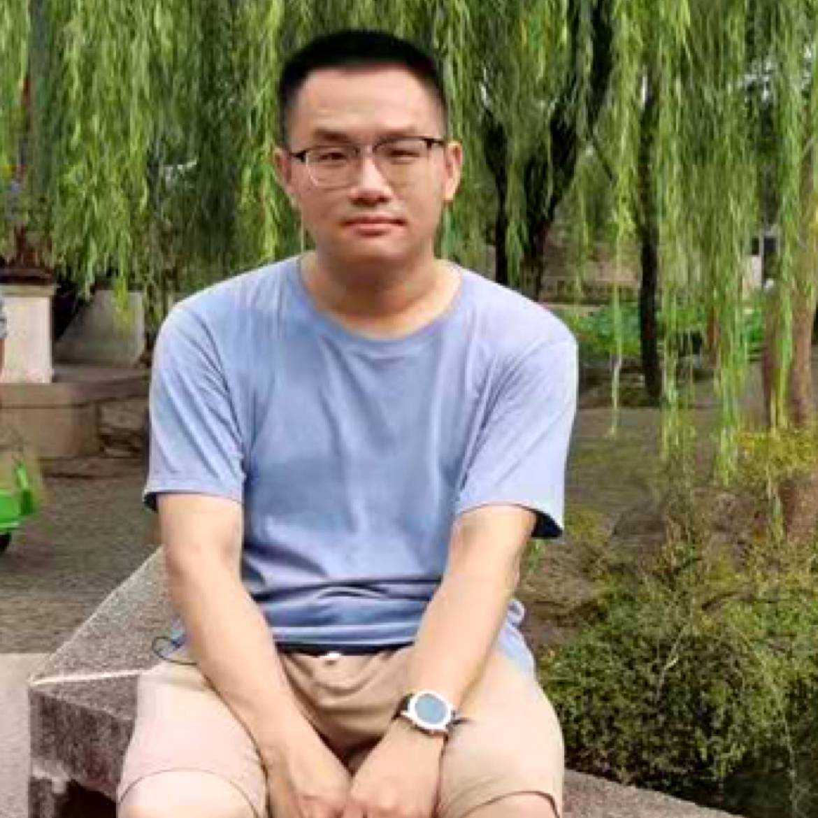 无尾树熊的照片