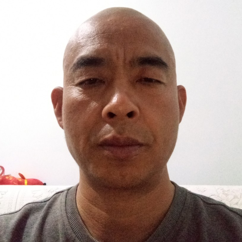 第九世轮回的照片