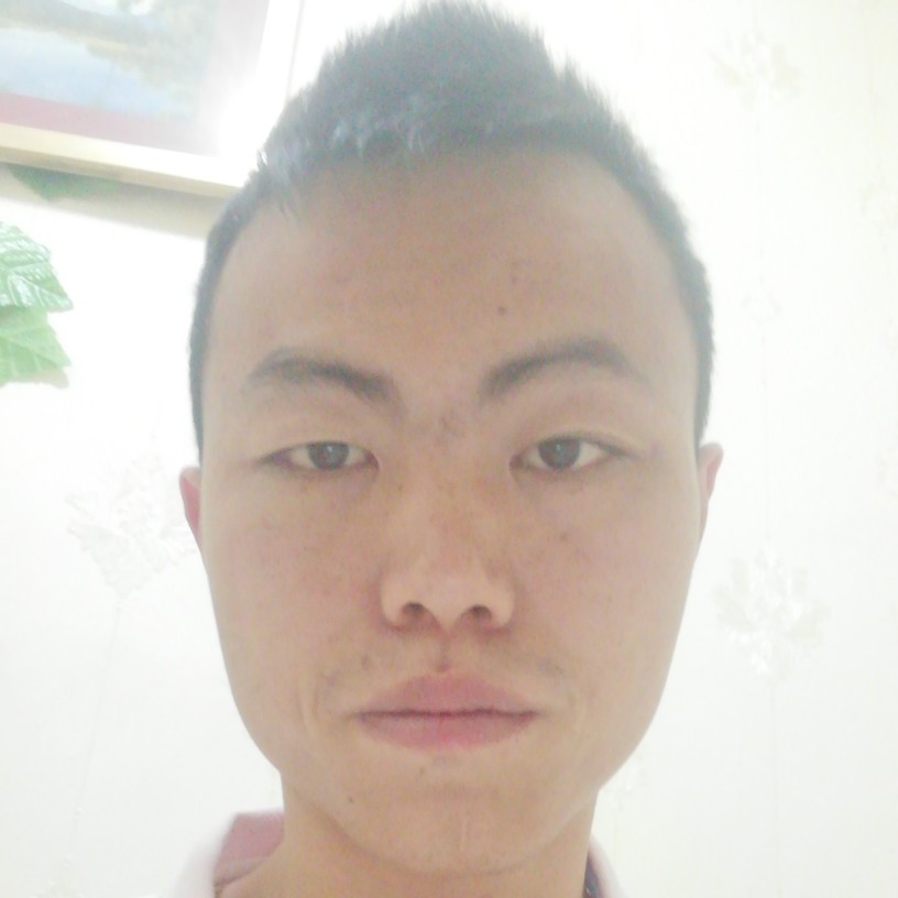 可靠给小猫咪的照片