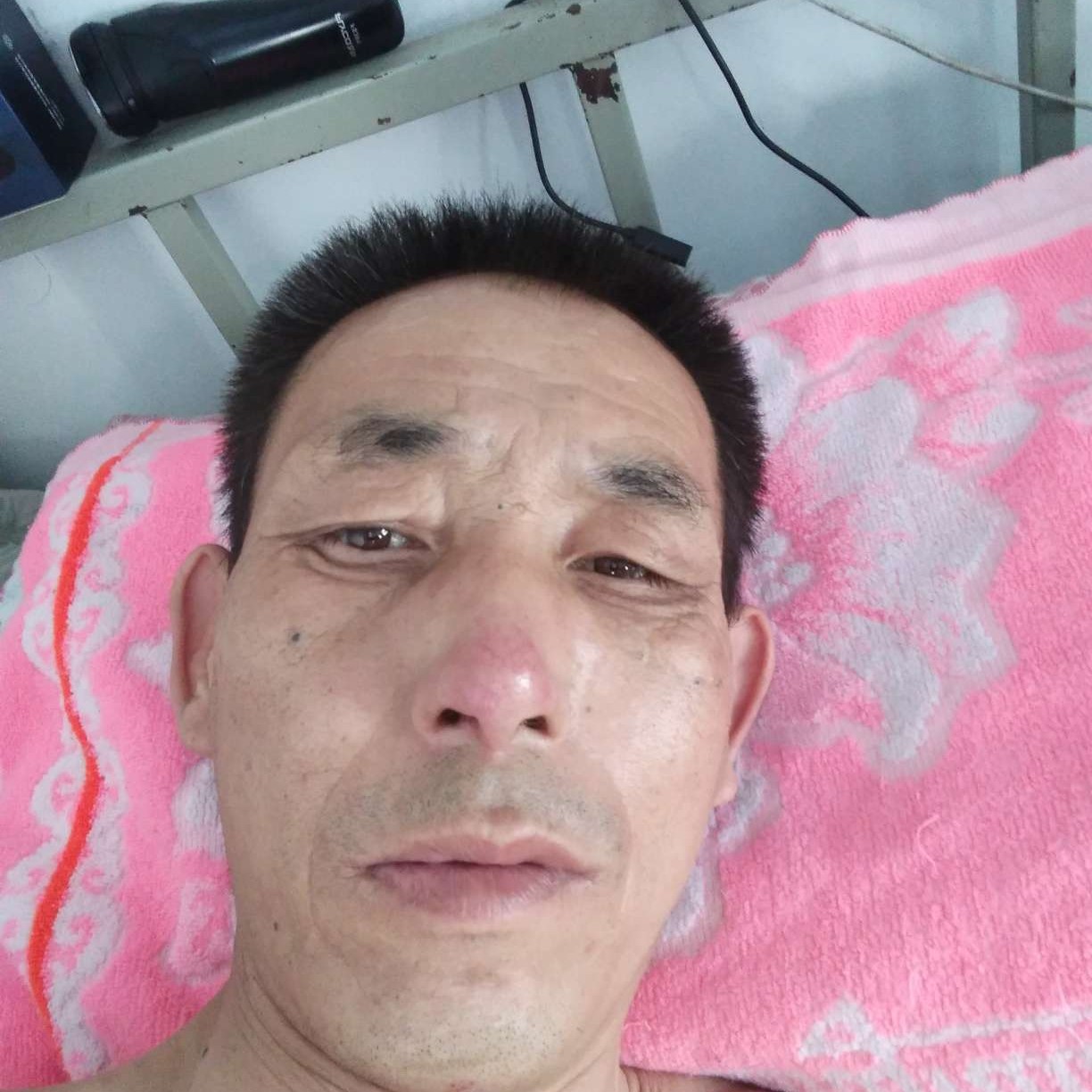 宝马漫步柔弱的照片