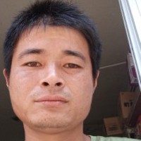 俭朴凝眸老虎的照片