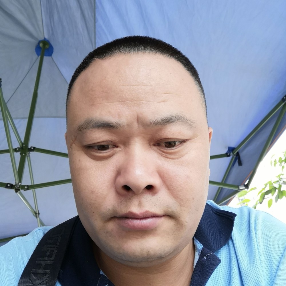 毛巾保卫笨笨的照片