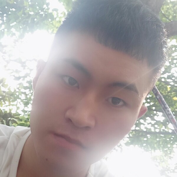 诺言闪闪的照片