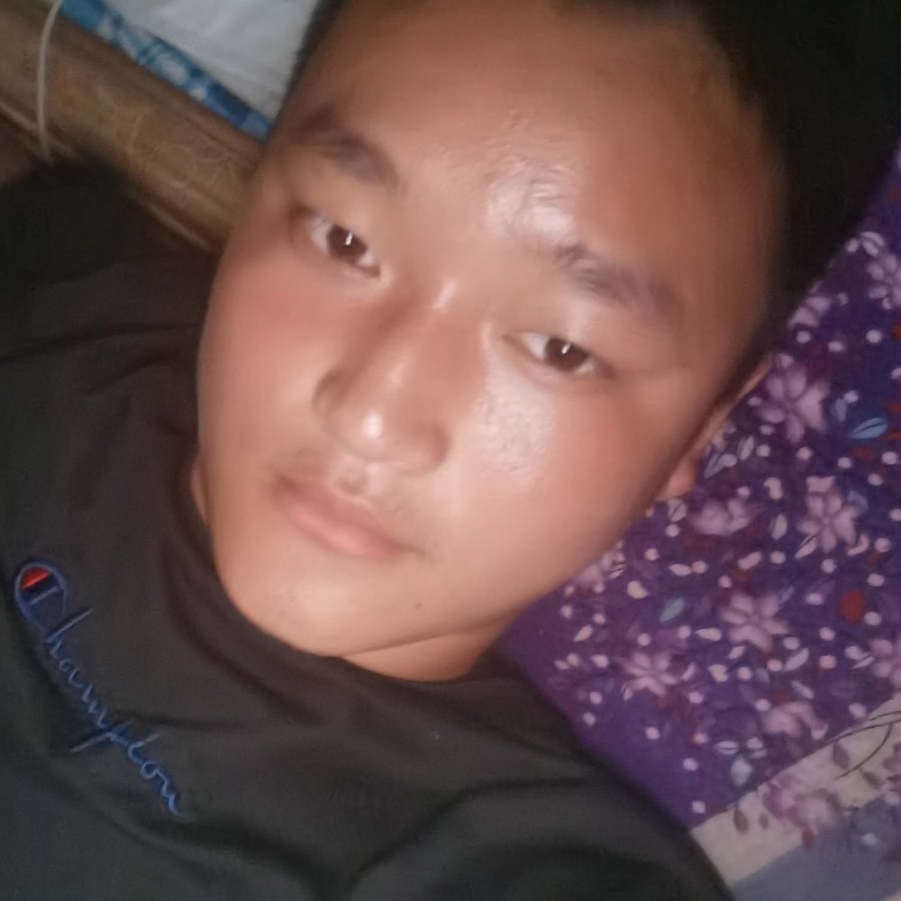 大船漫步愉快的照片