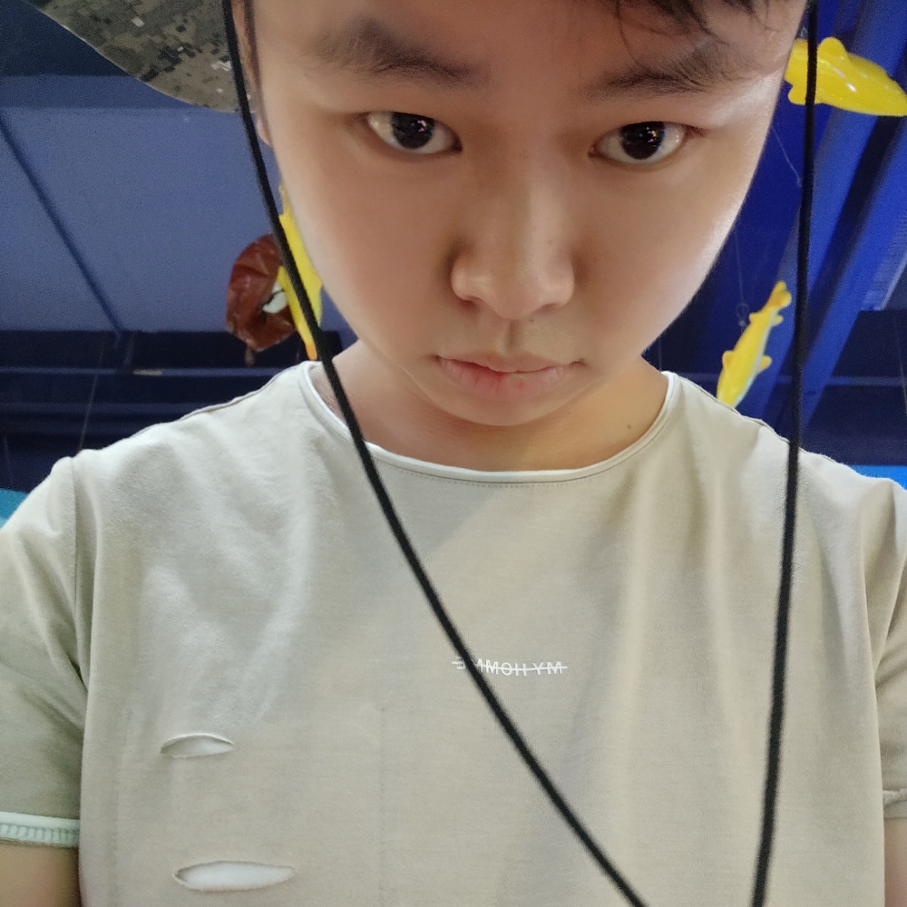 粘人的小猫咪的照片