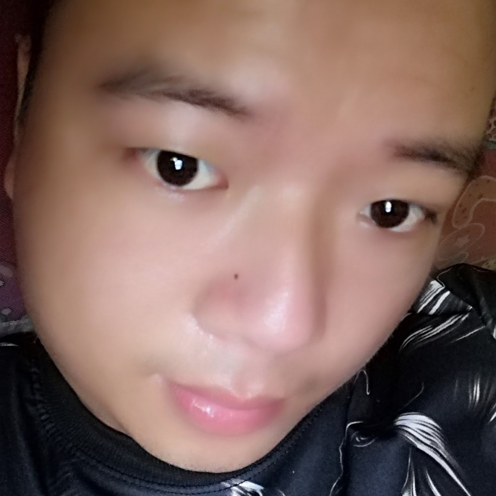 小懒虫的舒适的照片