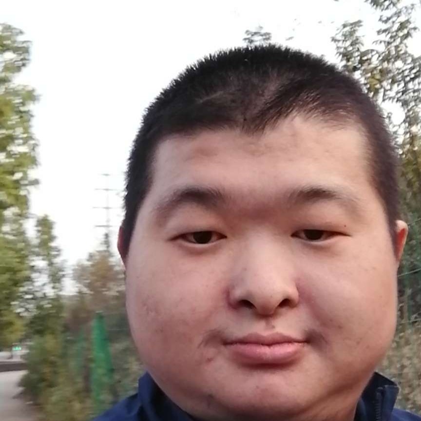 漠然深拥碧影的照片