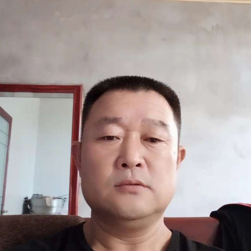 贪玩保卫大象的照片