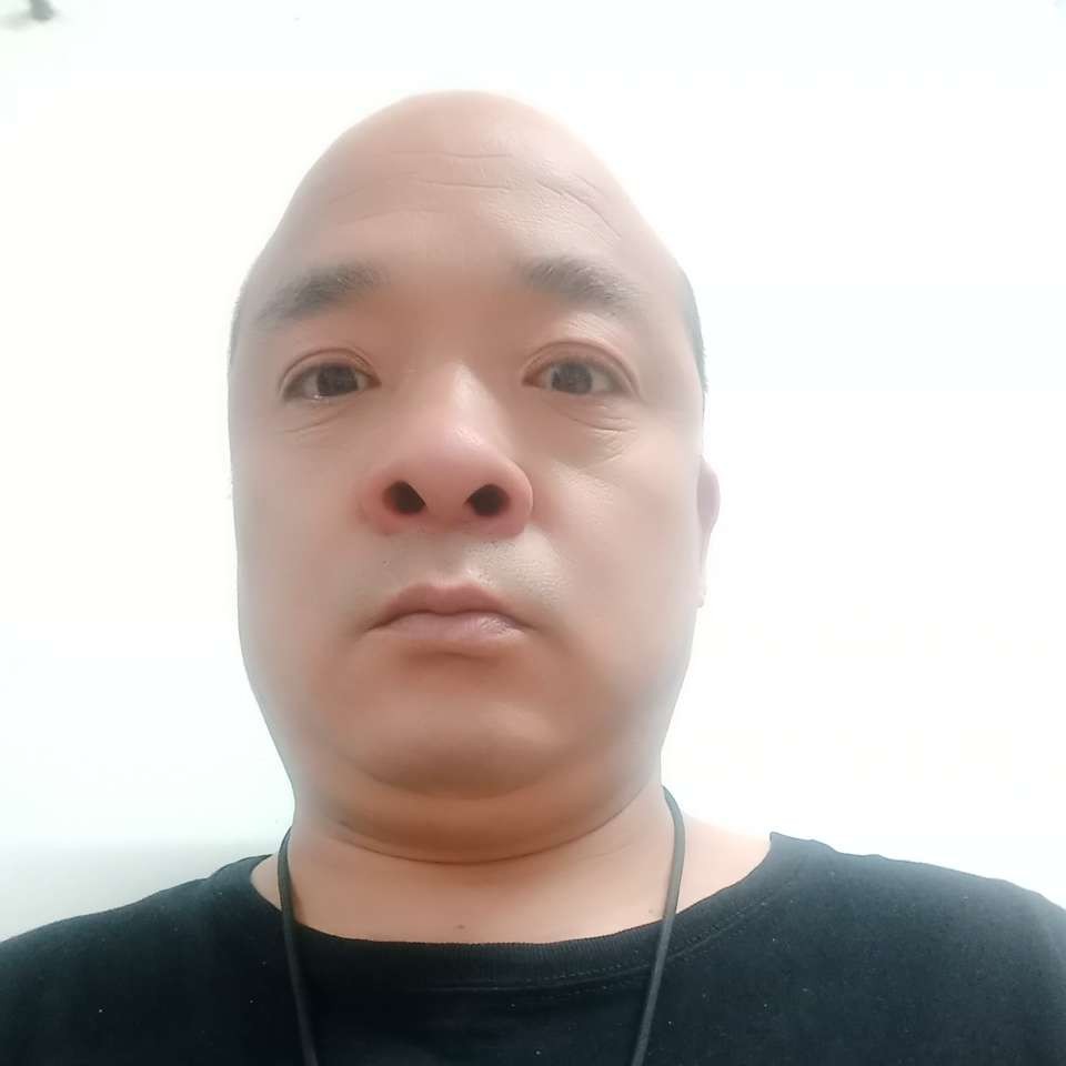 小鸽子就愉快的照片