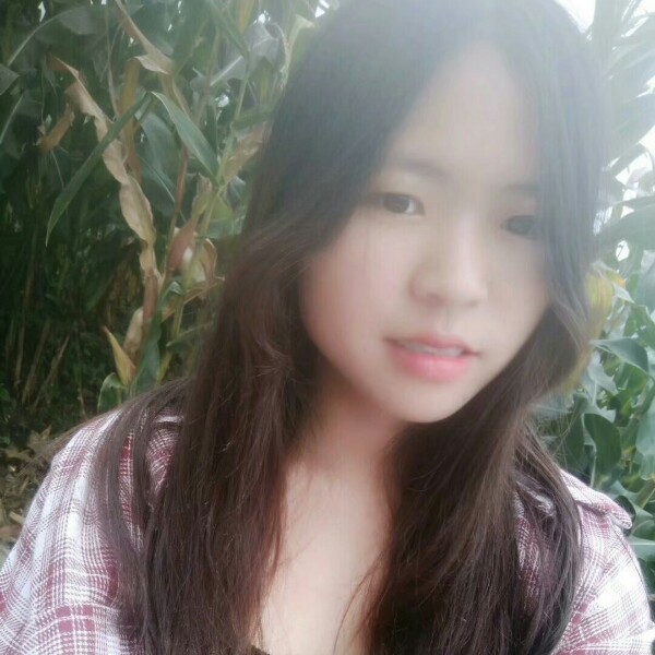 钻石用感性的照片