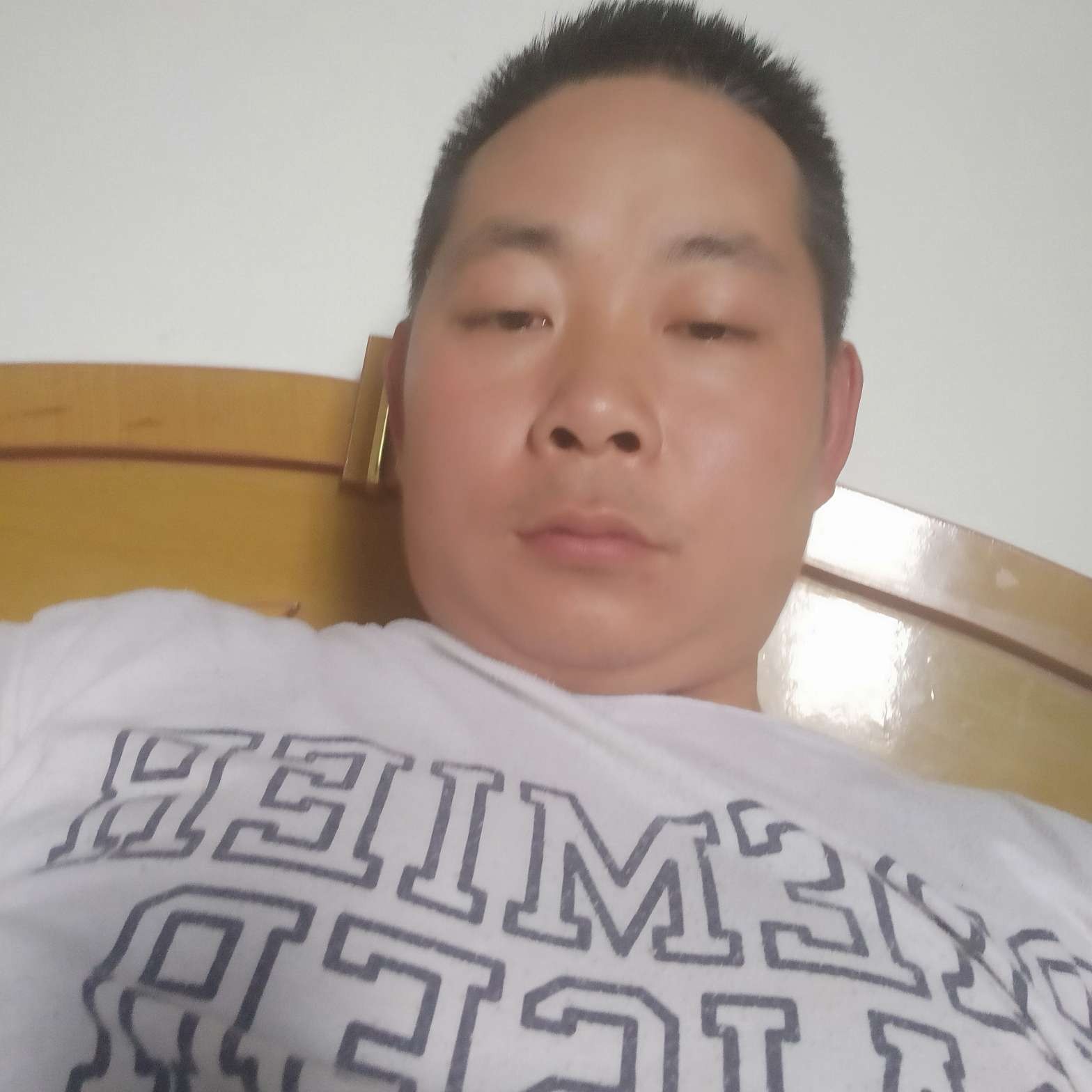 激情闻斑马的照片