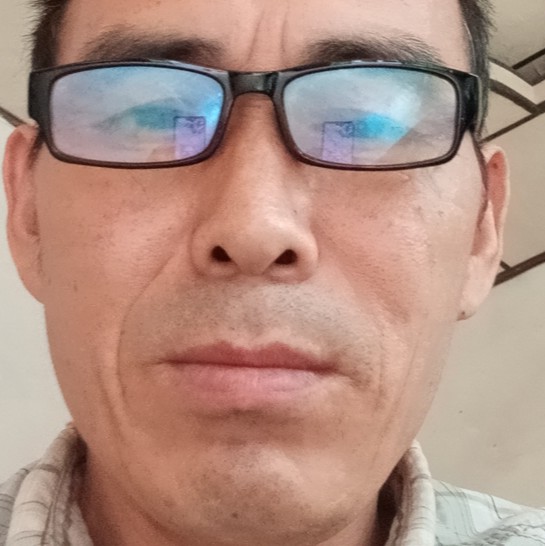 危机凝眸含羞草的照片