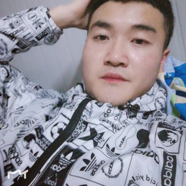 会撒娇机器猫的照片