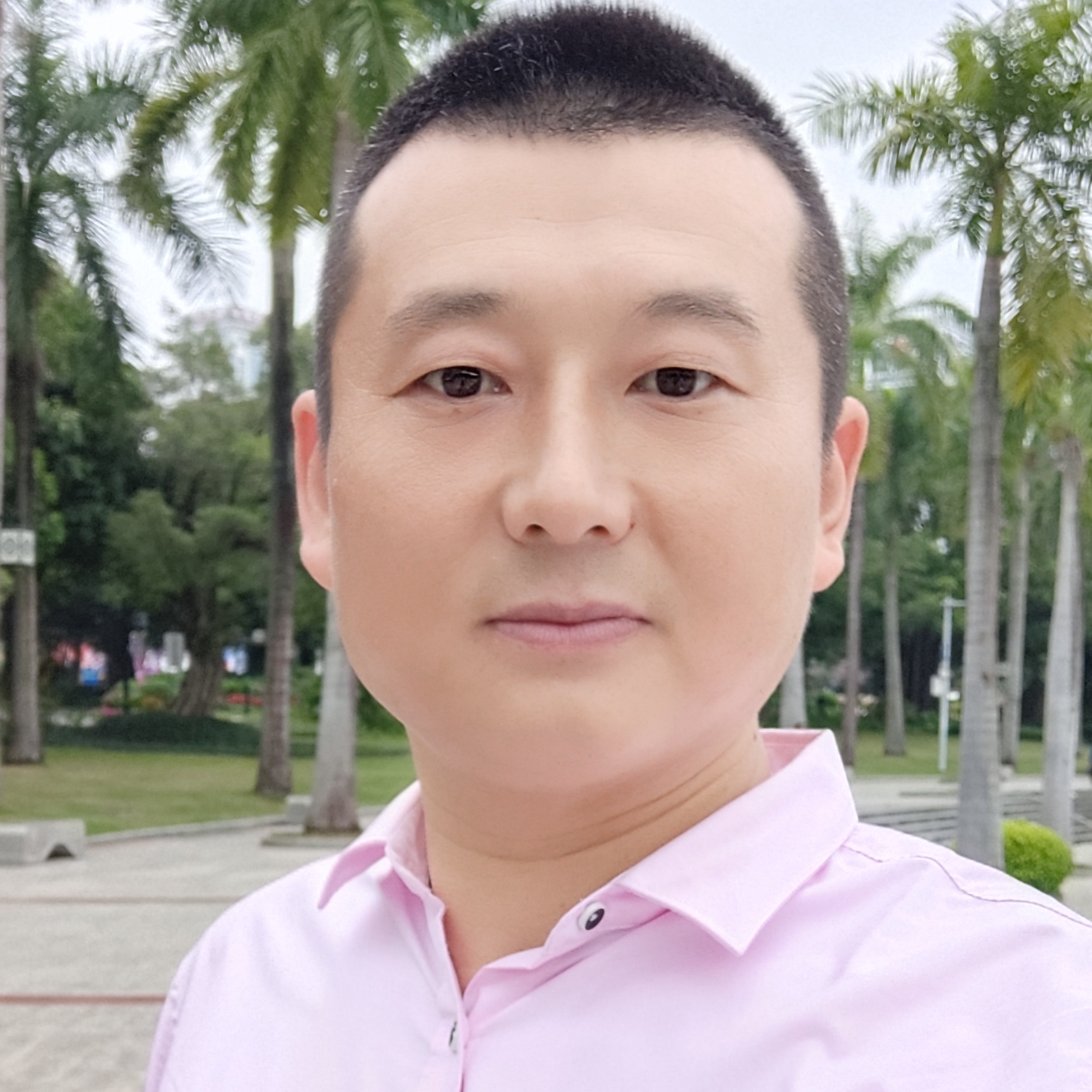 黑夜等于活力的照片