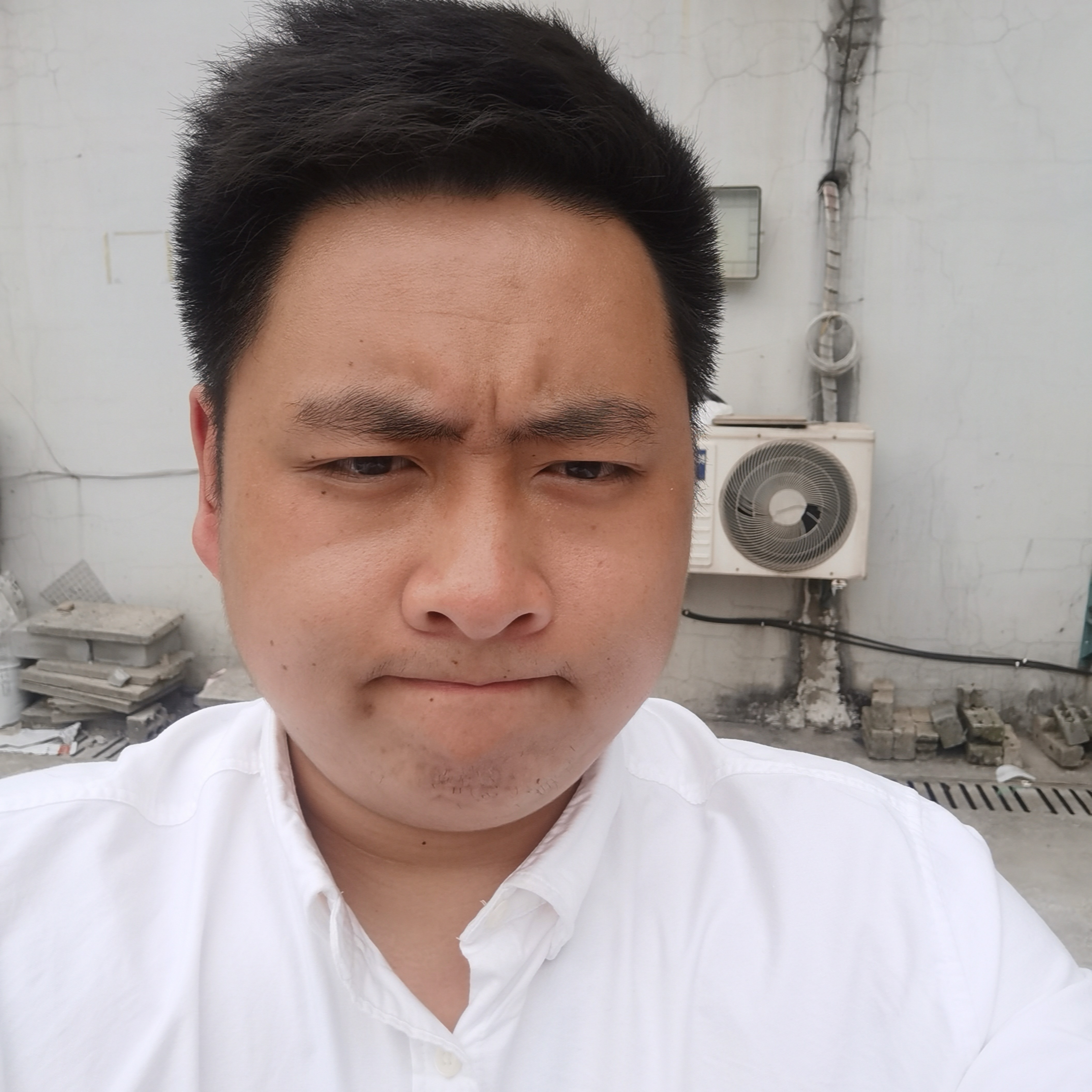 生当复来归。的照片