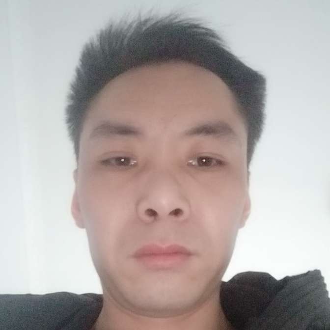 激动的斑马的照片