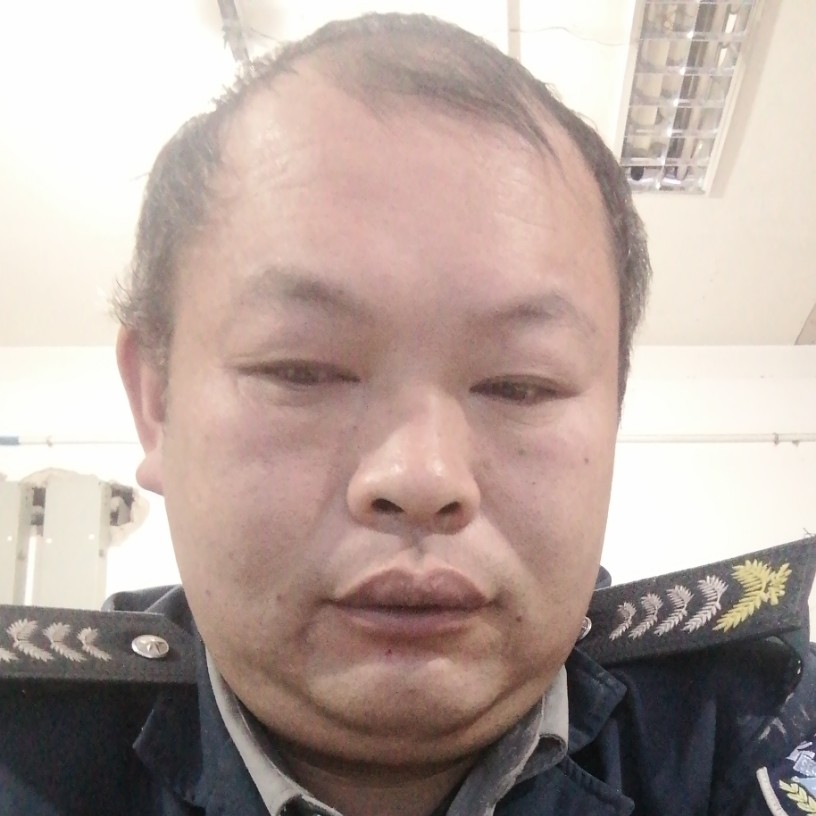 刺猬给神勇的照片