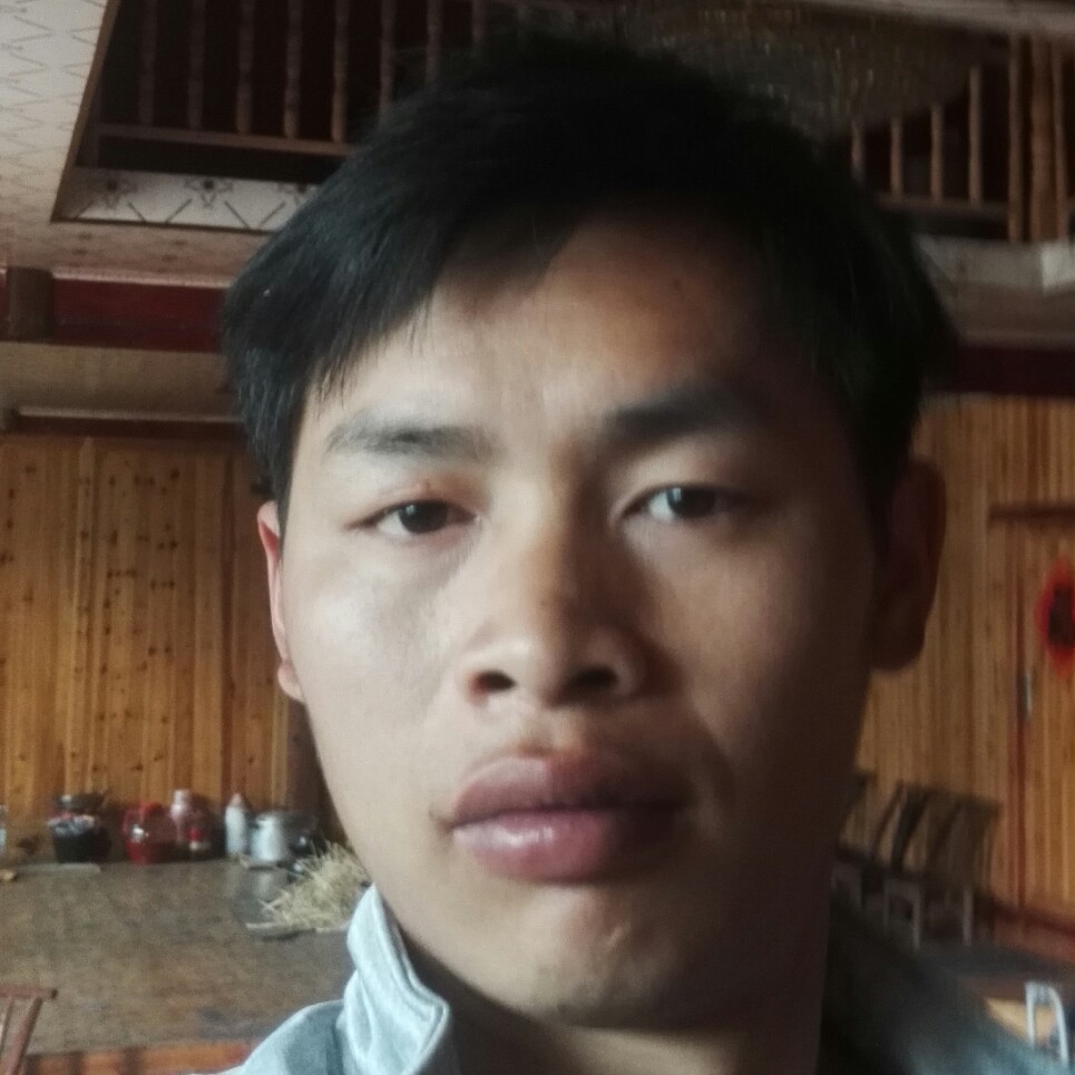 寻、觅的照片