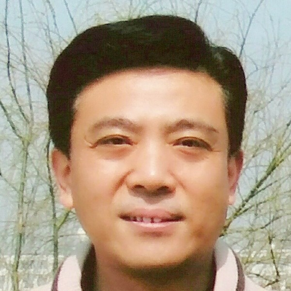 小海豚默默的照片