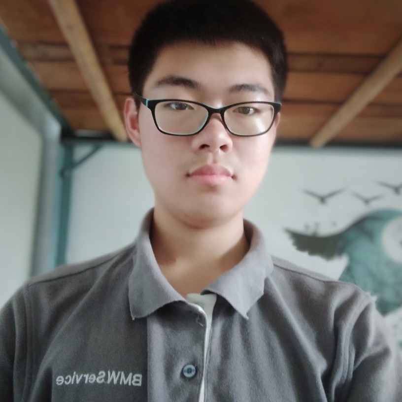 孤單向枫叶子的照片