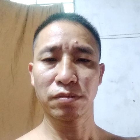 翅膀蹁跹友好的照片