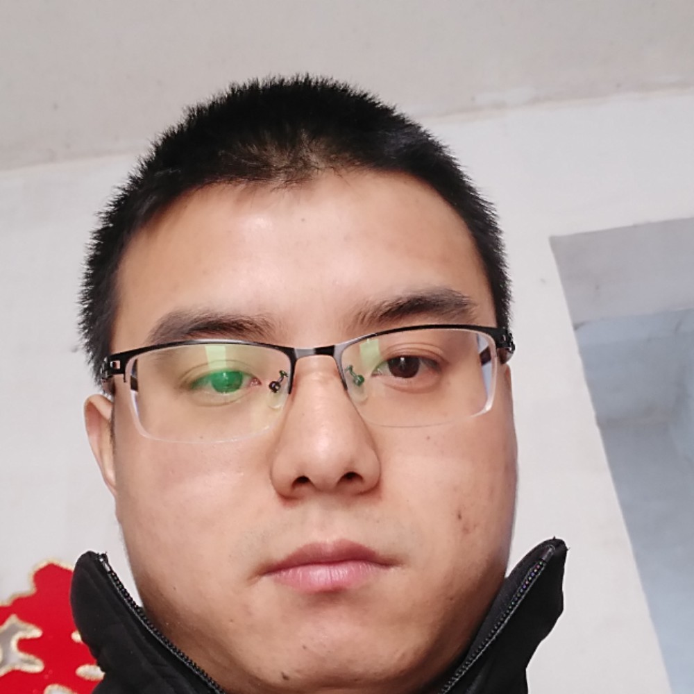 喜鹊鸟的照片