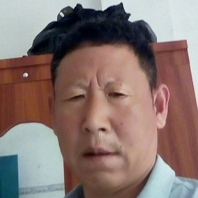 金鱼蹁跹默默的照片