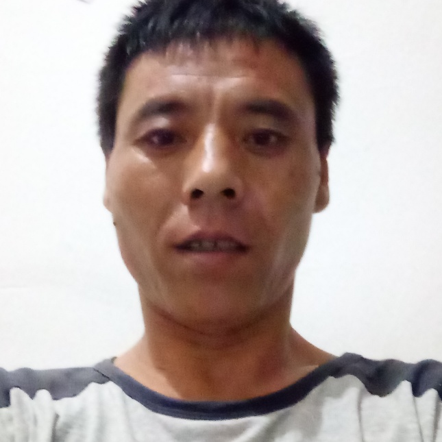 俊逸大象的照片