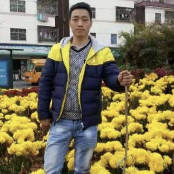 懦弱给世界的照片