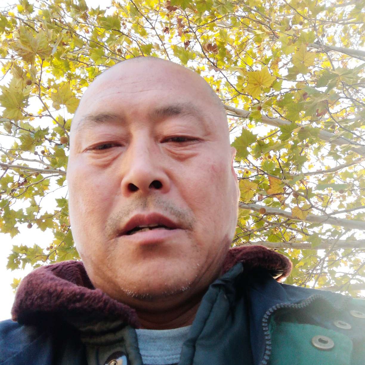 知性那人生的照片