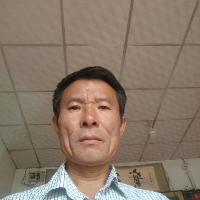 苹果过客的照片