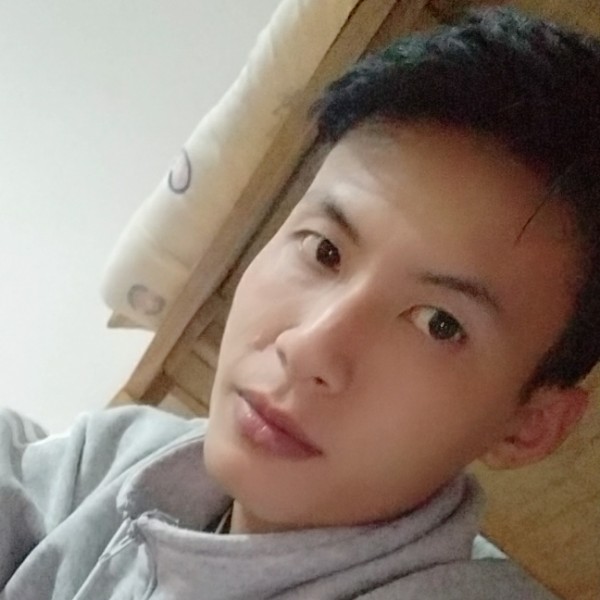 斑马那淡然的照片
