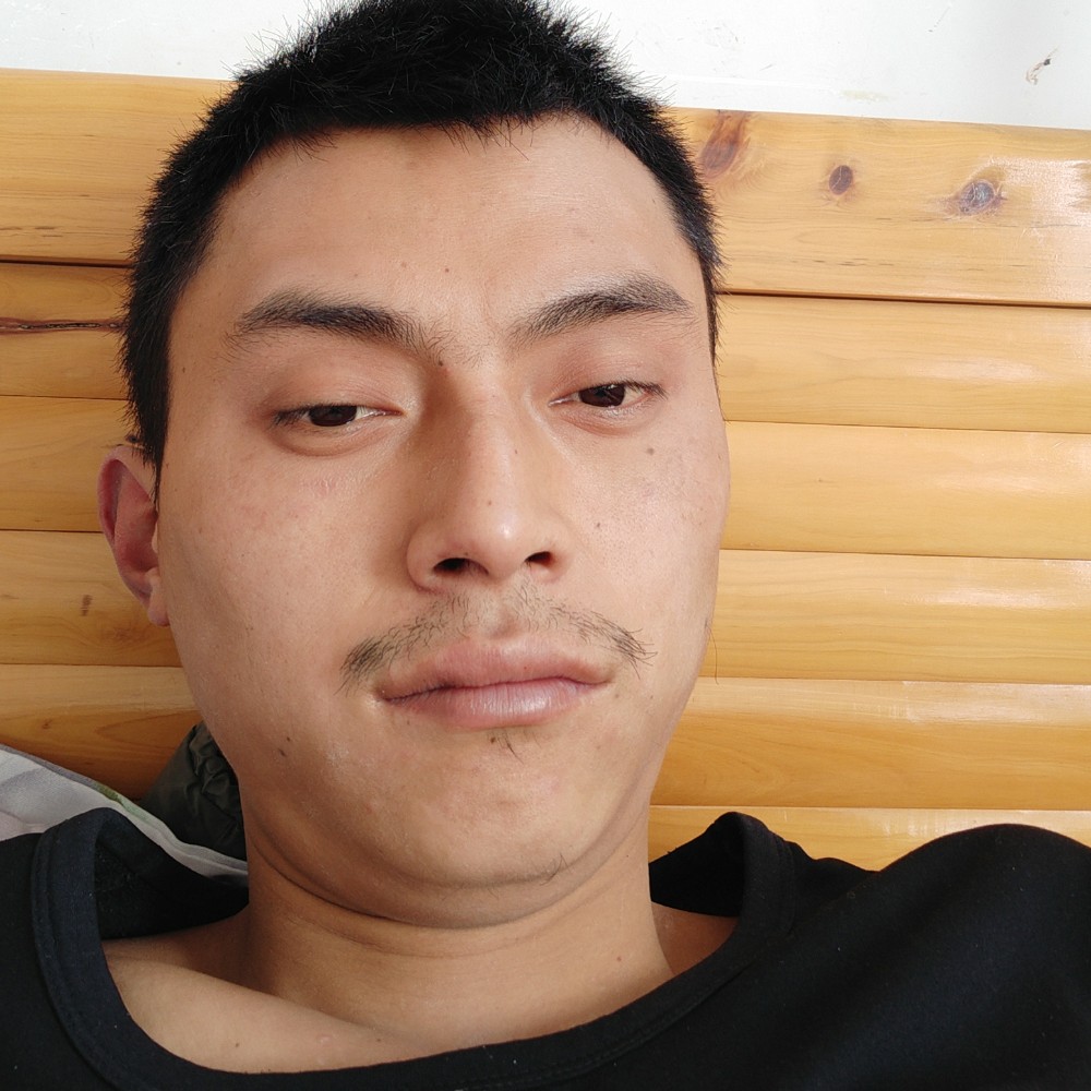 玫瑰的照片