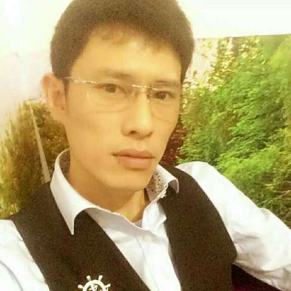 猫咪遇見生动的照片