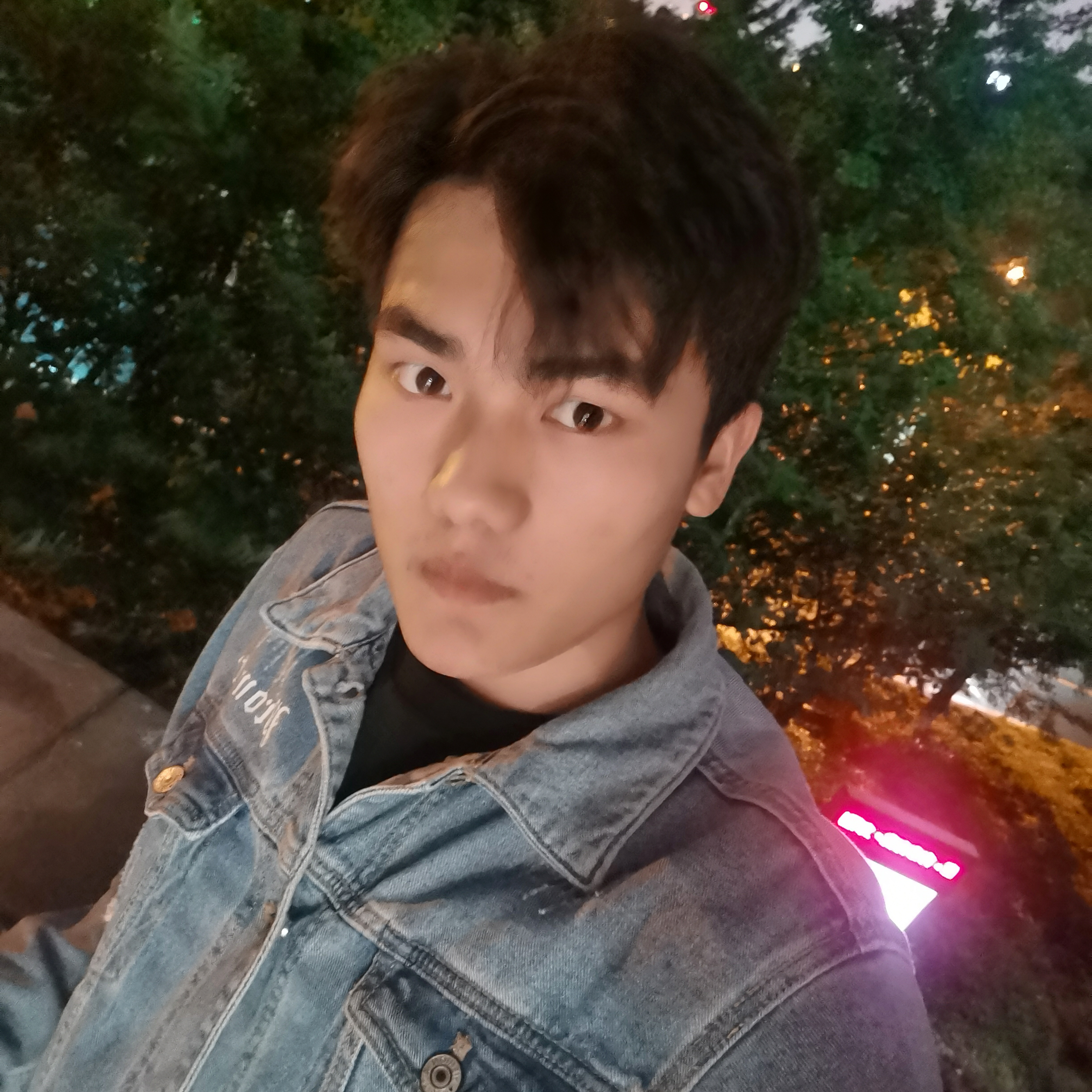 泥猴桃等于大胆的照片