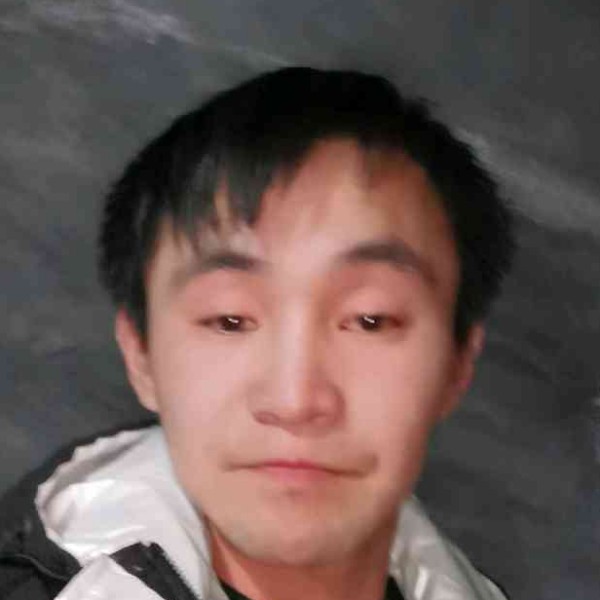 斯文演变蜻蜓的照片