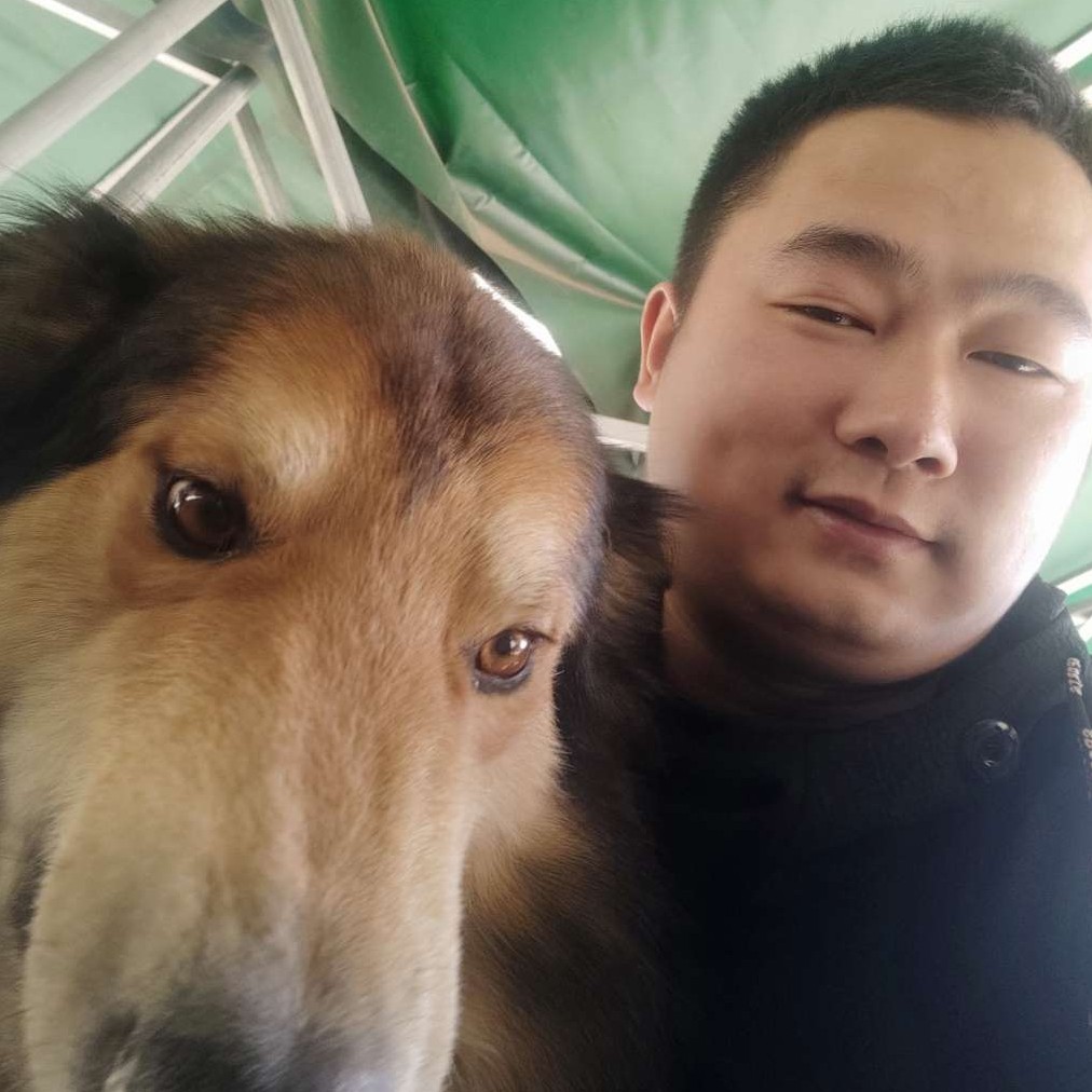 活泼的绿茶的照片