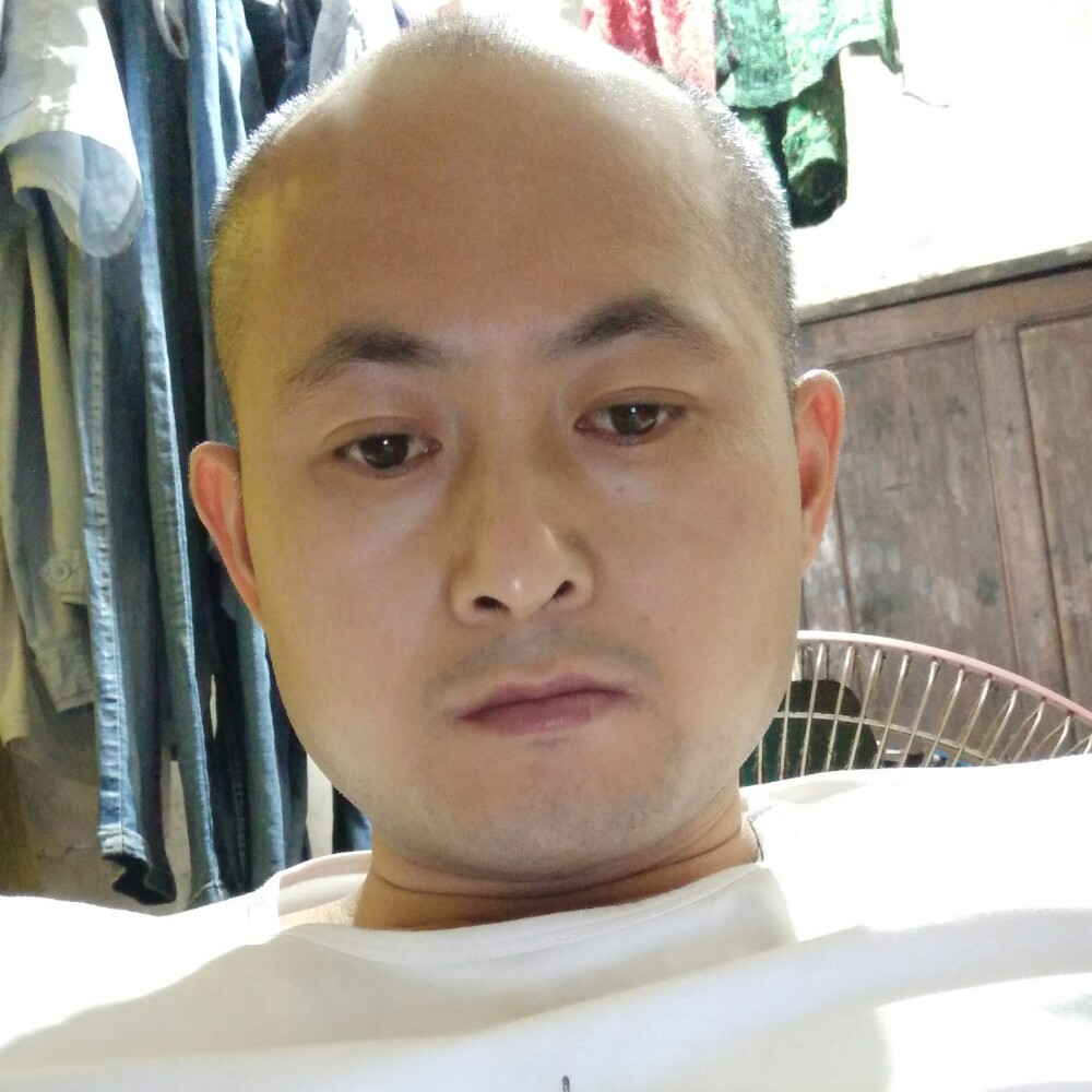 酷炫柠檬的照片