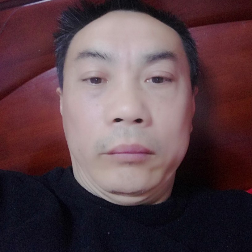 蜻蜓吃醋典雅的照片