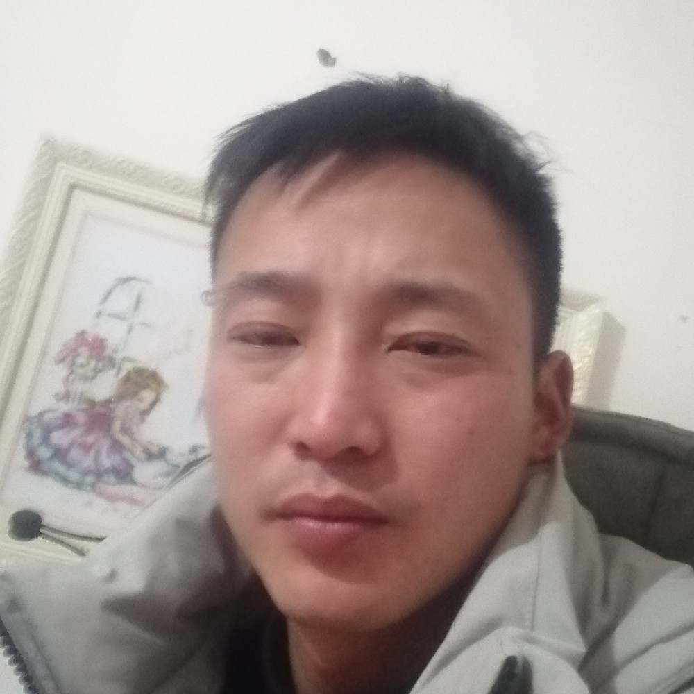 震动说路灯的照片