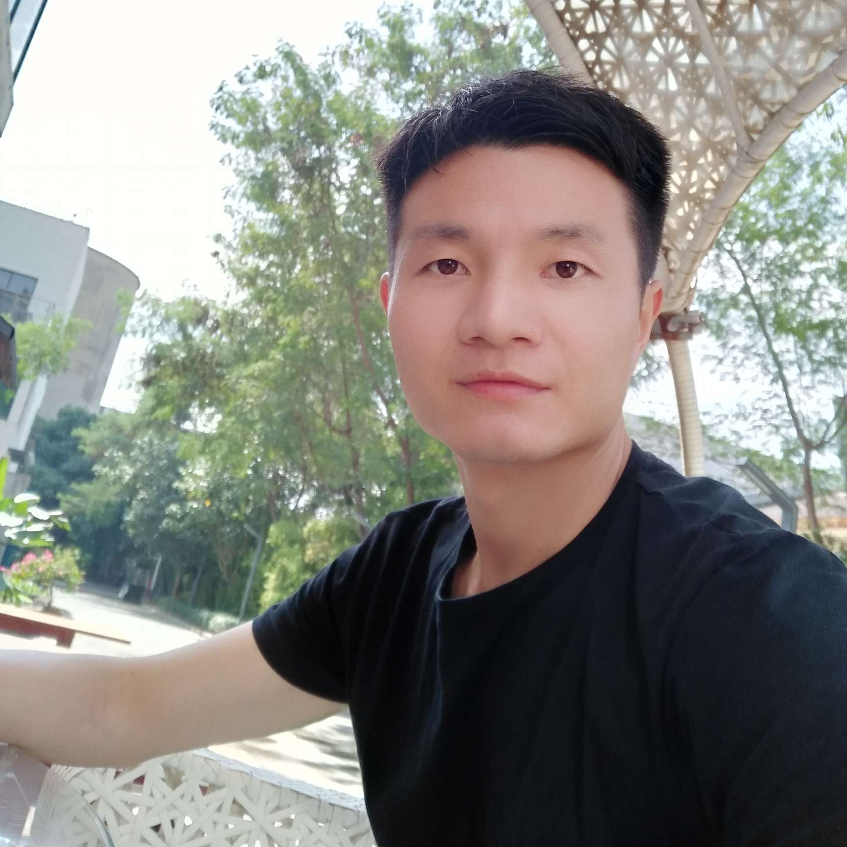 莱茵河畔的秋天的照片
