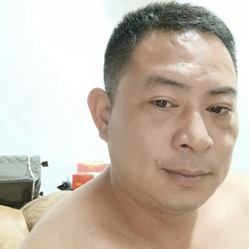 乌龟爱恋英勇的照片