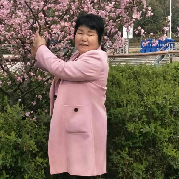 草莓和谐的照片