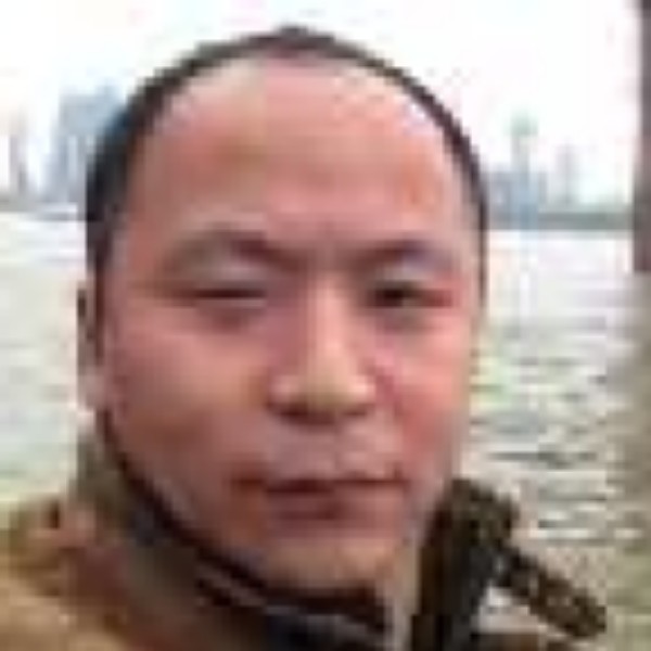 平淡树叶的照片
